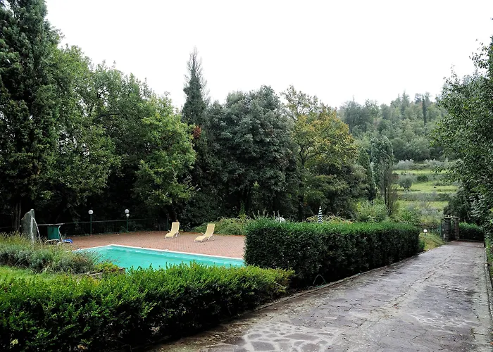 Sargiano *