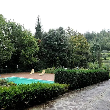 Sargiano *